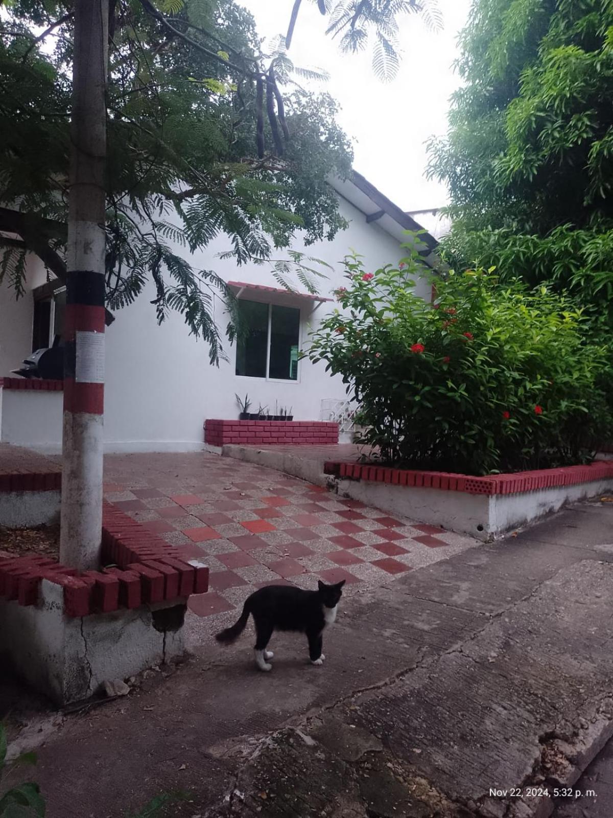 Pensión Sarac 1 Piso